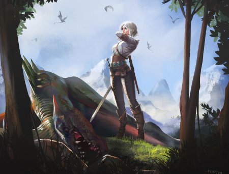 Ведьмак цири арт