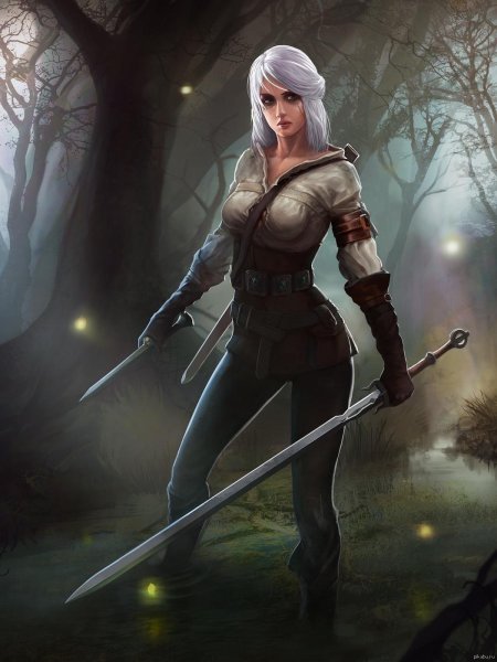 Ведьмак цири