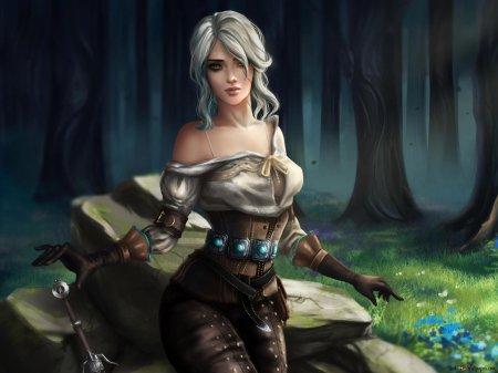 Ведьмак цирилла