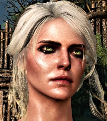 Ведьмак дикая охота цири