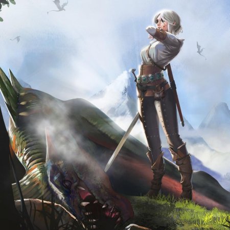 Ведьмак дикая охота цири