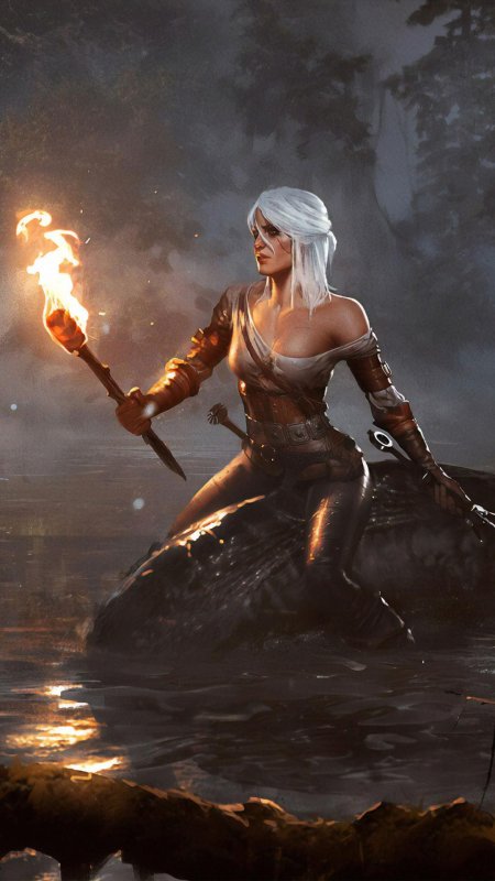 Ведьмак дикая охота цири