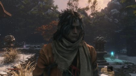 Sekiro shadows die