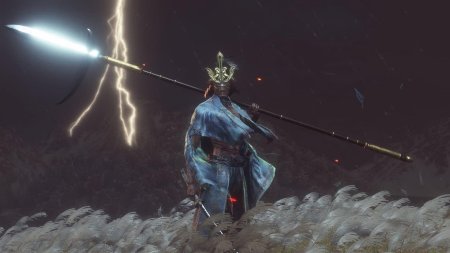 Sekiro isshin