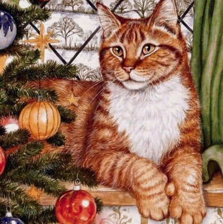 Художник debbie cook кошки