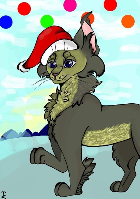 Коты воители новый год