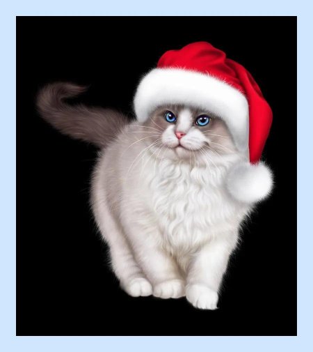 Новогодние кот
