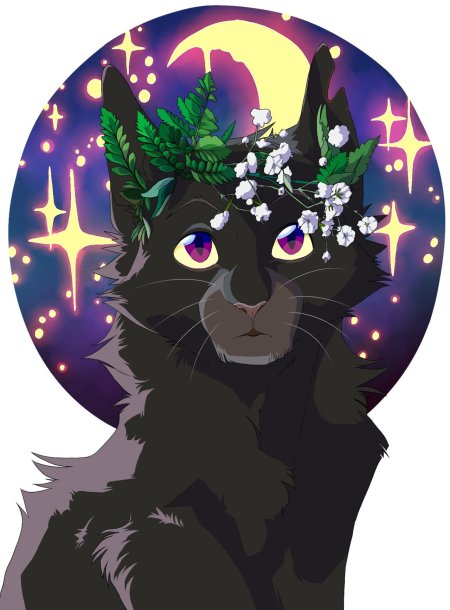 Горелый коты воители