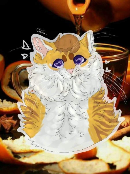 Яролика коты воители