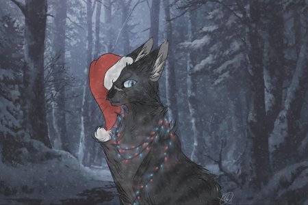 Коты воители новый год