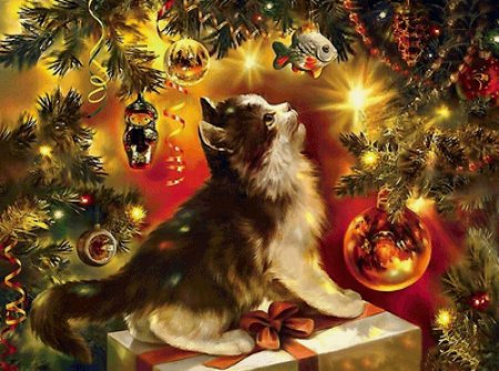 Надежда стрелкина рождественское чудо