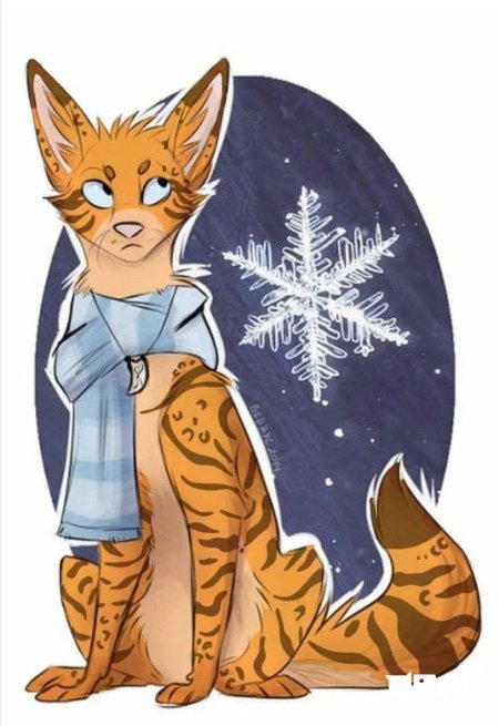 Коты воители новый год