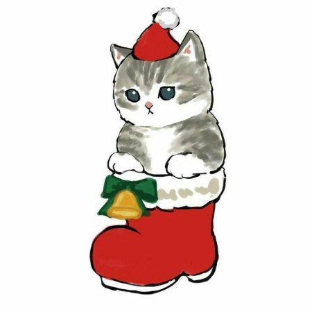 Christmas cat cute