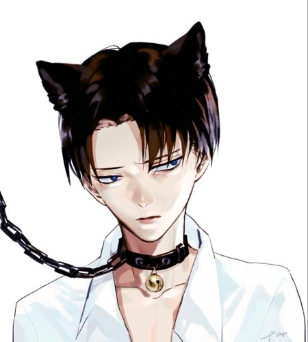 Леви аккерман