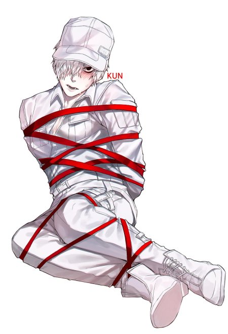 Какаси сибари