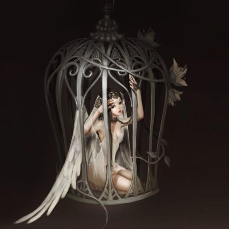 Девушка в клетке