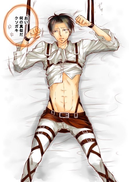 Подушка дакимакура леви аккерман