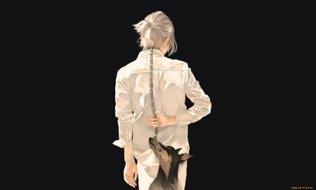 Аниме парень с хвостиком