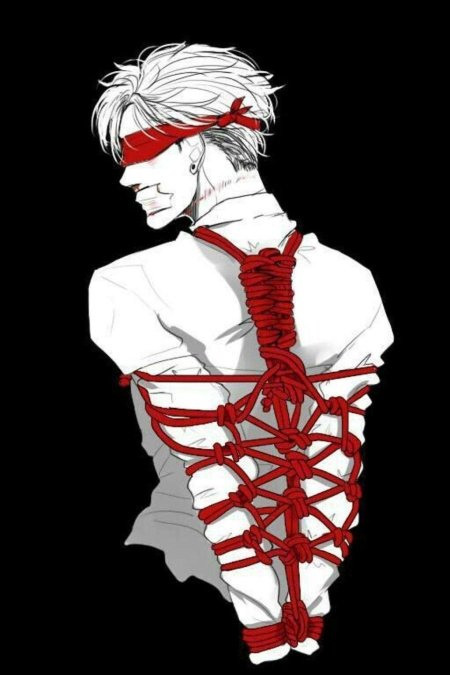 Сибари мужчины аниме