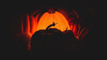 Оля тыква арт фулл