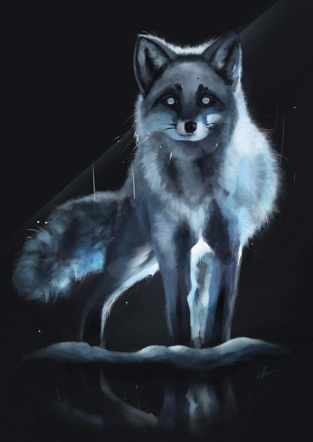 Красивые арты волков