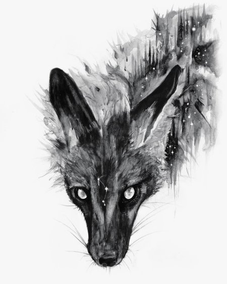 Лисы арт