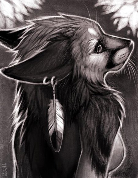 Волки аниме