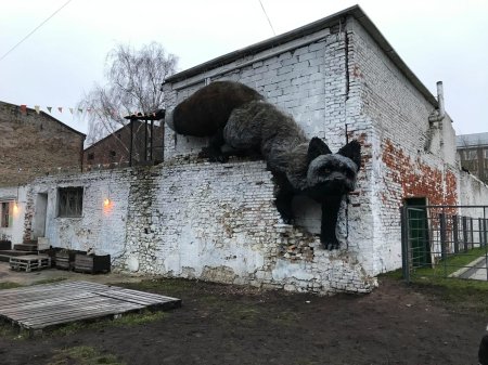 Гигантская скульптура чернобурой лисы в риге