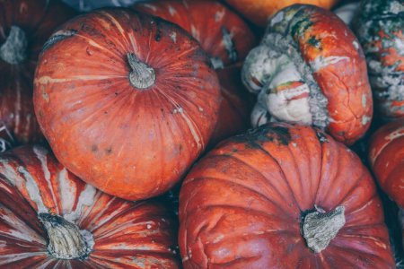 Тыква сорт оранж