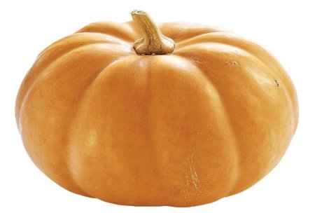 Тыква круглая