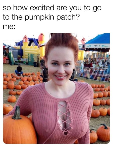 Мейтленд уорд