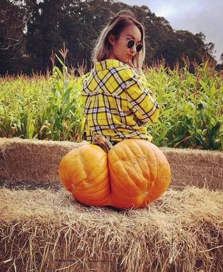 Оля тыква арт фулл