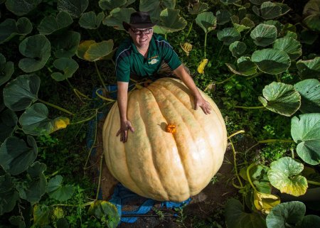 Оля тыква 2023