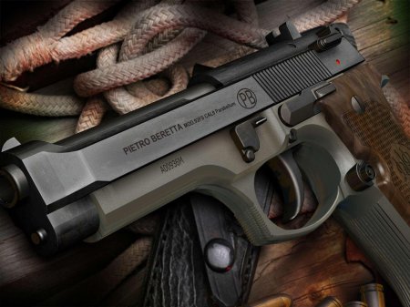 Beretta fs