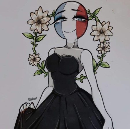 Кантри хуманс франция