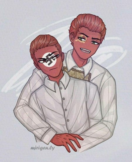 Рейх countryhumans