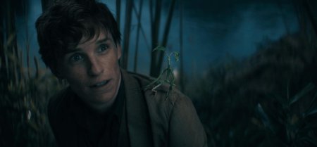 Фантастические твари тайны дамблдора