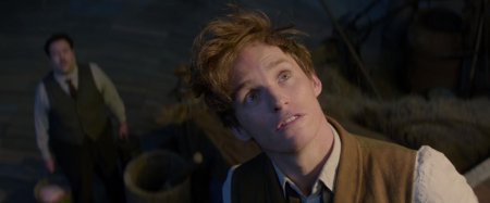 Эдди редмэйн фантастические твари