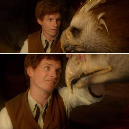 Ньют гарри поттер