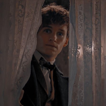 Ньют саламандер актер эдди редмэйн