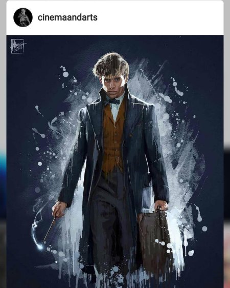 Ньют саламандер