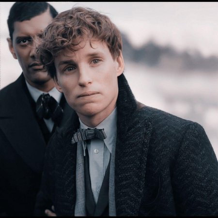 Фантастические твари гарри поттер