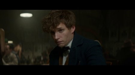 Эдди редмэйн фантастические твари