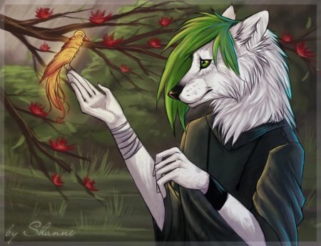 Аниме волки люди