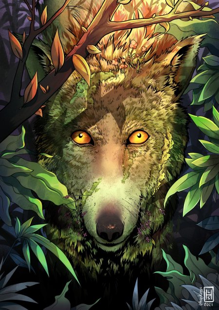 Волк в лесу