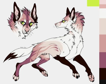 Персы волков реферанс