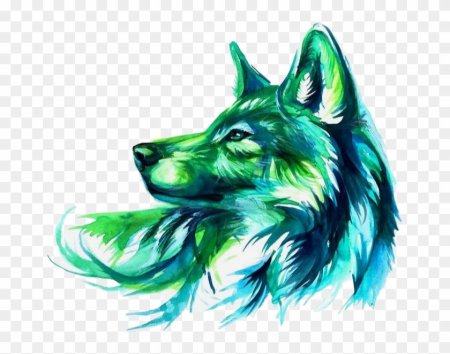 Волка рисунок