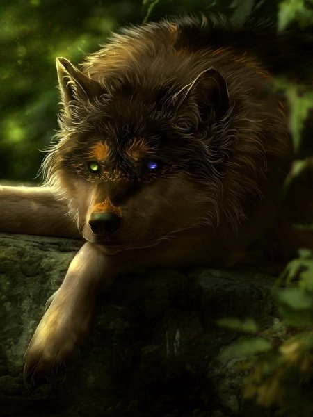 Волки фэнтези