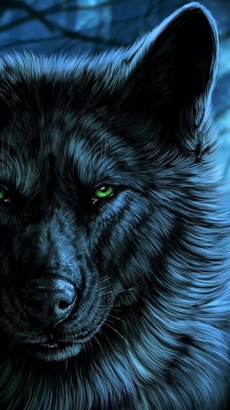 Красивые волки