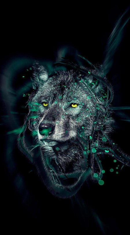 Волк на телефон